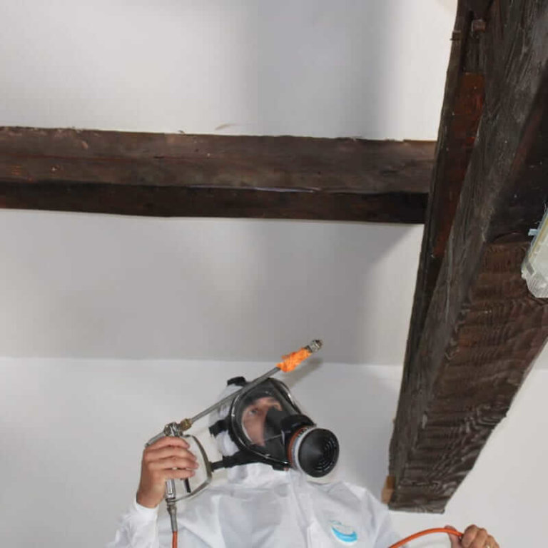 PROBAT spécialiste traitement du bois-1