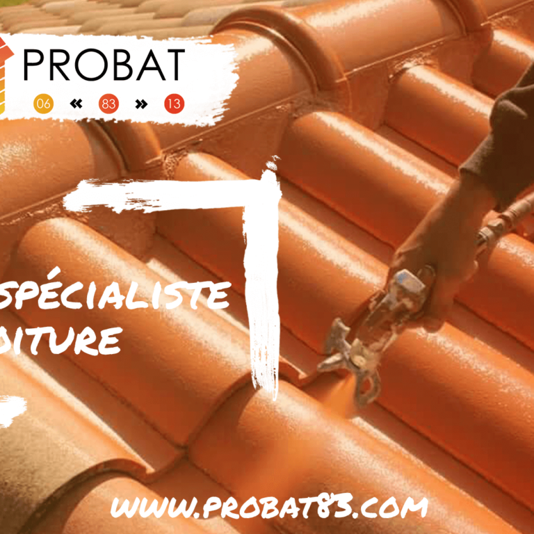 Probat-spécialiste toiture var 83 13 et 06