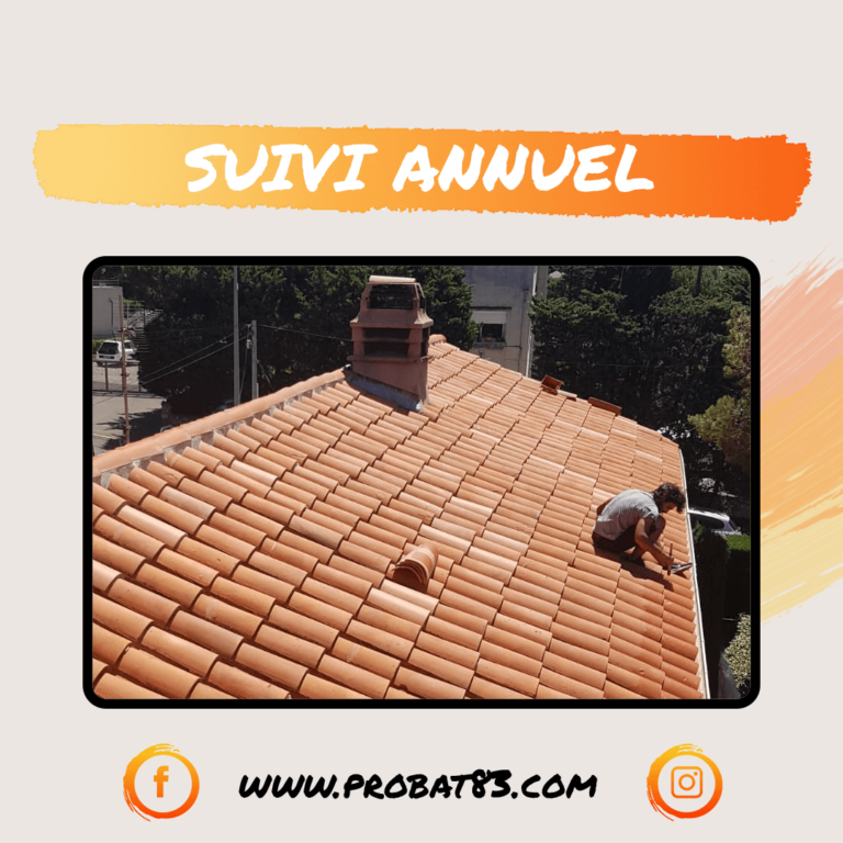 Suivi-annuel-Global-Facebook