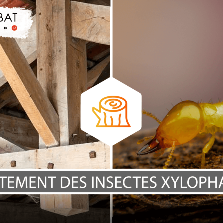 Visuel-article-Jalis-V17