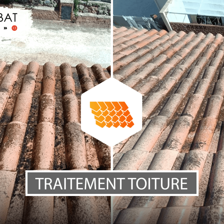 Traitement de toiture coloré et incolore PACA