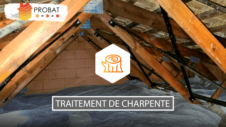 Traitement de charpente par pulvérisation contre les capricornes à La Farlède