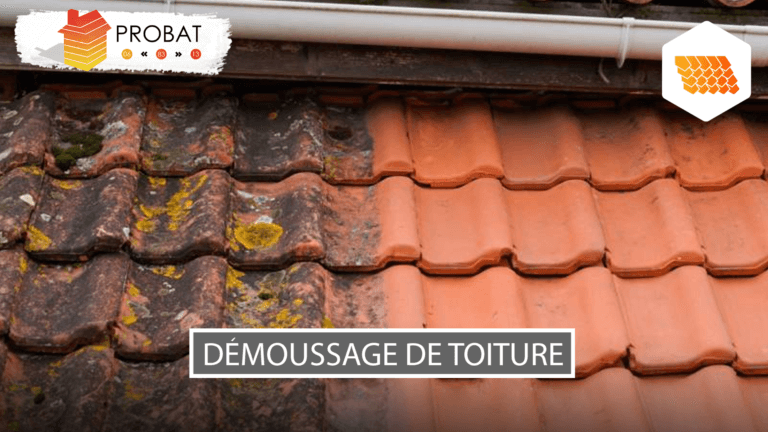 Démoussage toiture à Aix-en-Provence