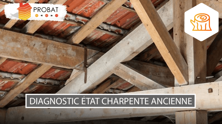 Diagnostic état charpente ancienne