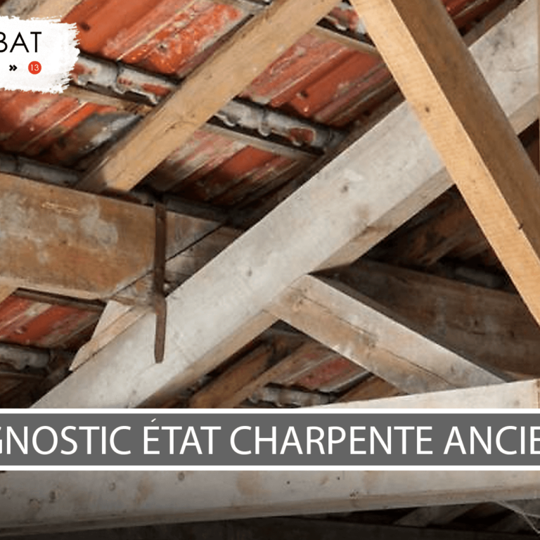 Diagnostic état charpente ancienne