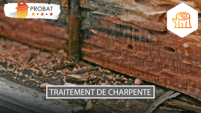 Traitement de bois de charpente en injection et pulvérisation Cannes