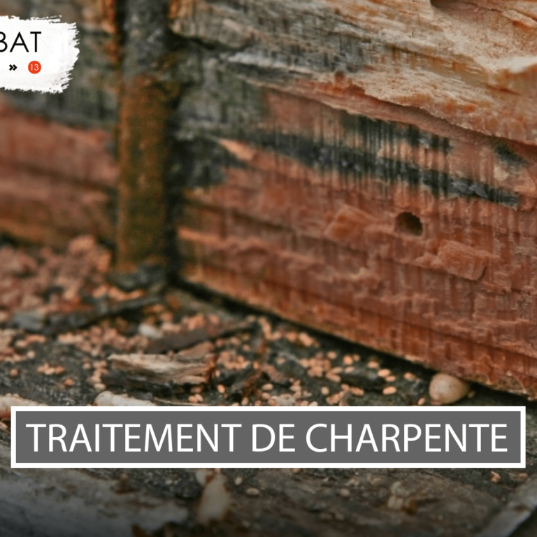 Visuel-article-Jalis-V57 Traitement de bois de charpente en injection et pulvérisation Cannes