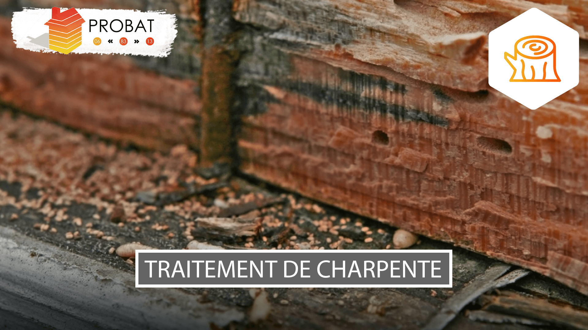 Visuel-article-Jalis-V57 Traitement de bois de charpente en injection et pulvérisation Cannes