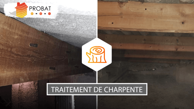 Traitement de charpente Grasse