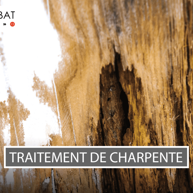 Visuel-article-Jalis-V60 Traitement de charpente La Ciotat