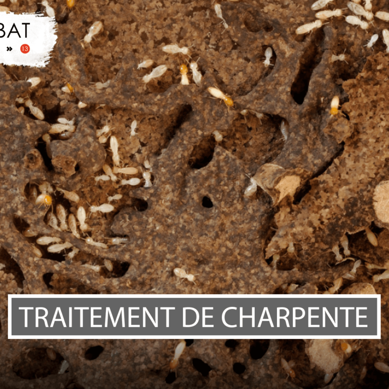 Visuel-article-Jalis-V66 Traitement charpente Toulon