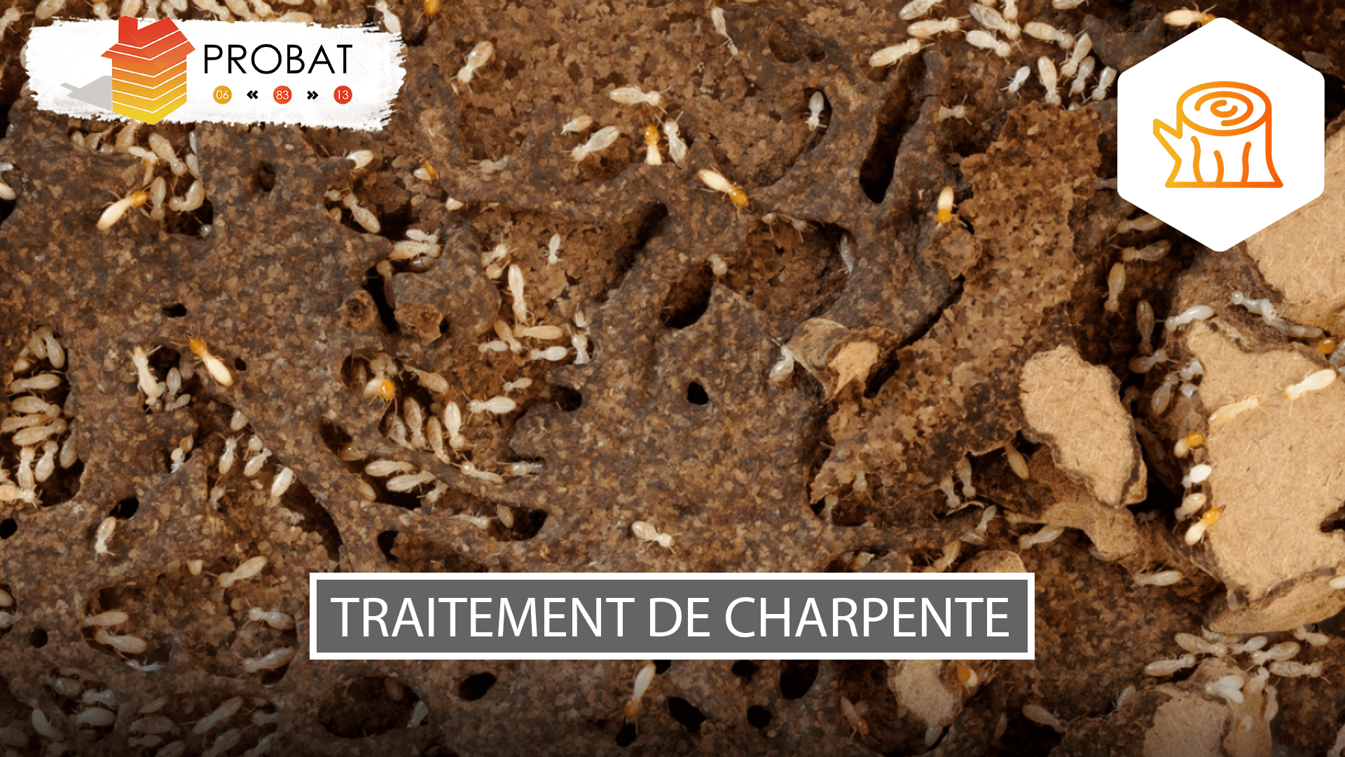 Visuel-article-Jalis-V66 Traitement charpente Toulon