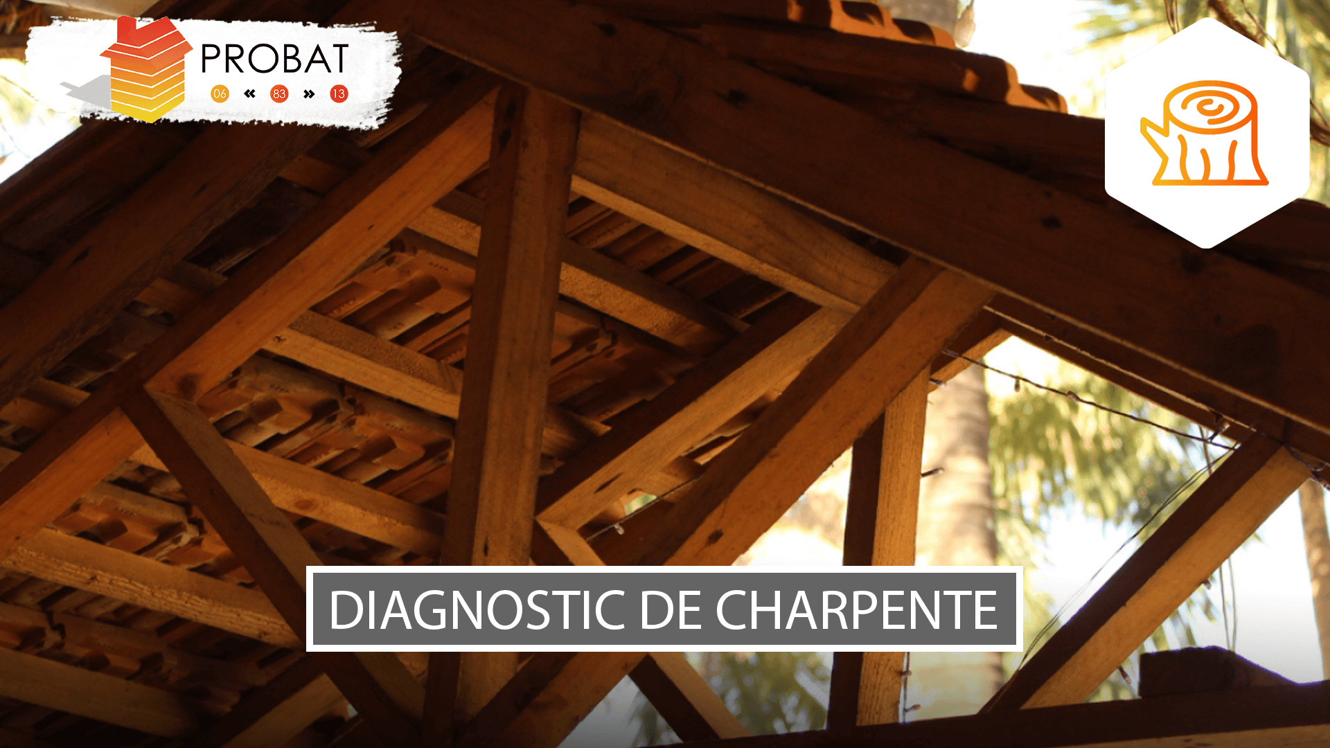 Visuel-article-Jalis-V69