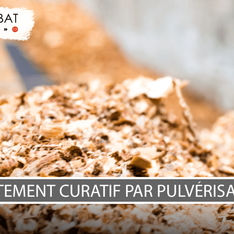 Traitement curatif par pulvérisation Hyères