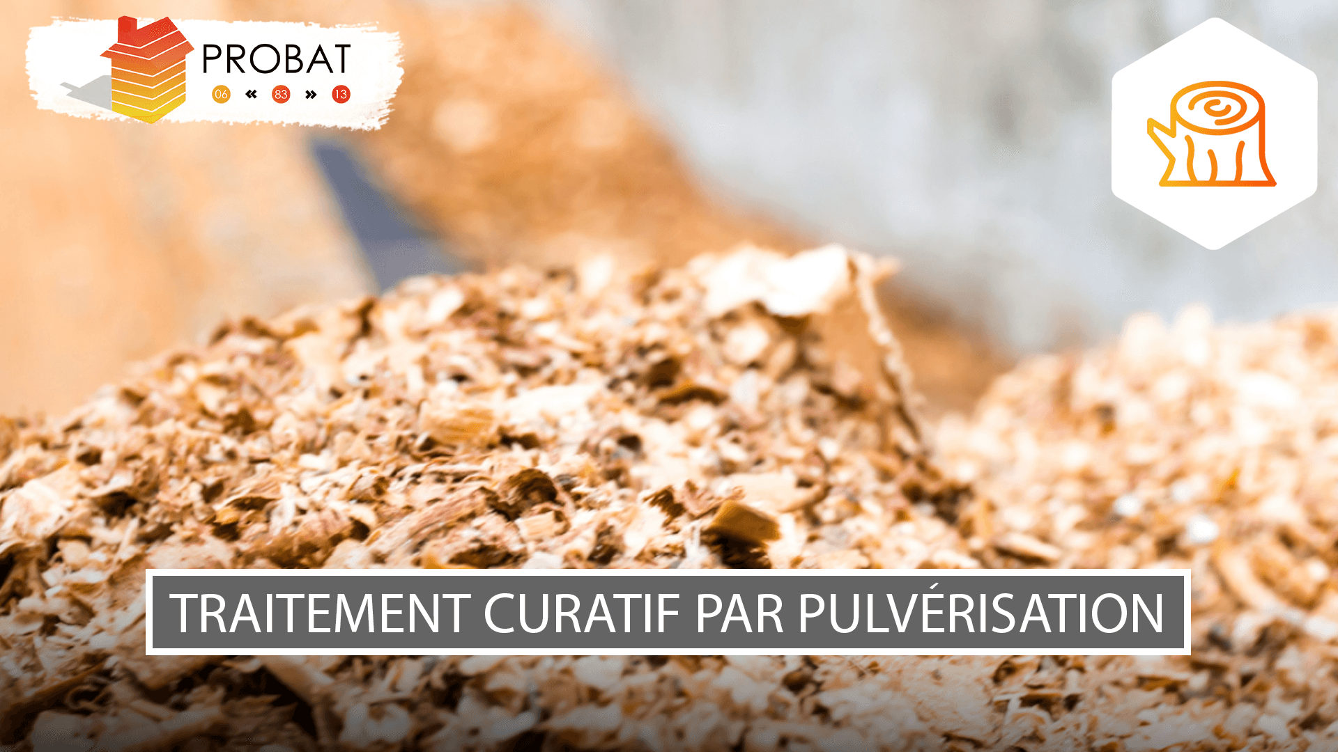 Traitement curatif par pulvérisation Hyères