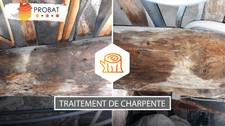 Traitement de charpente Vitrolles