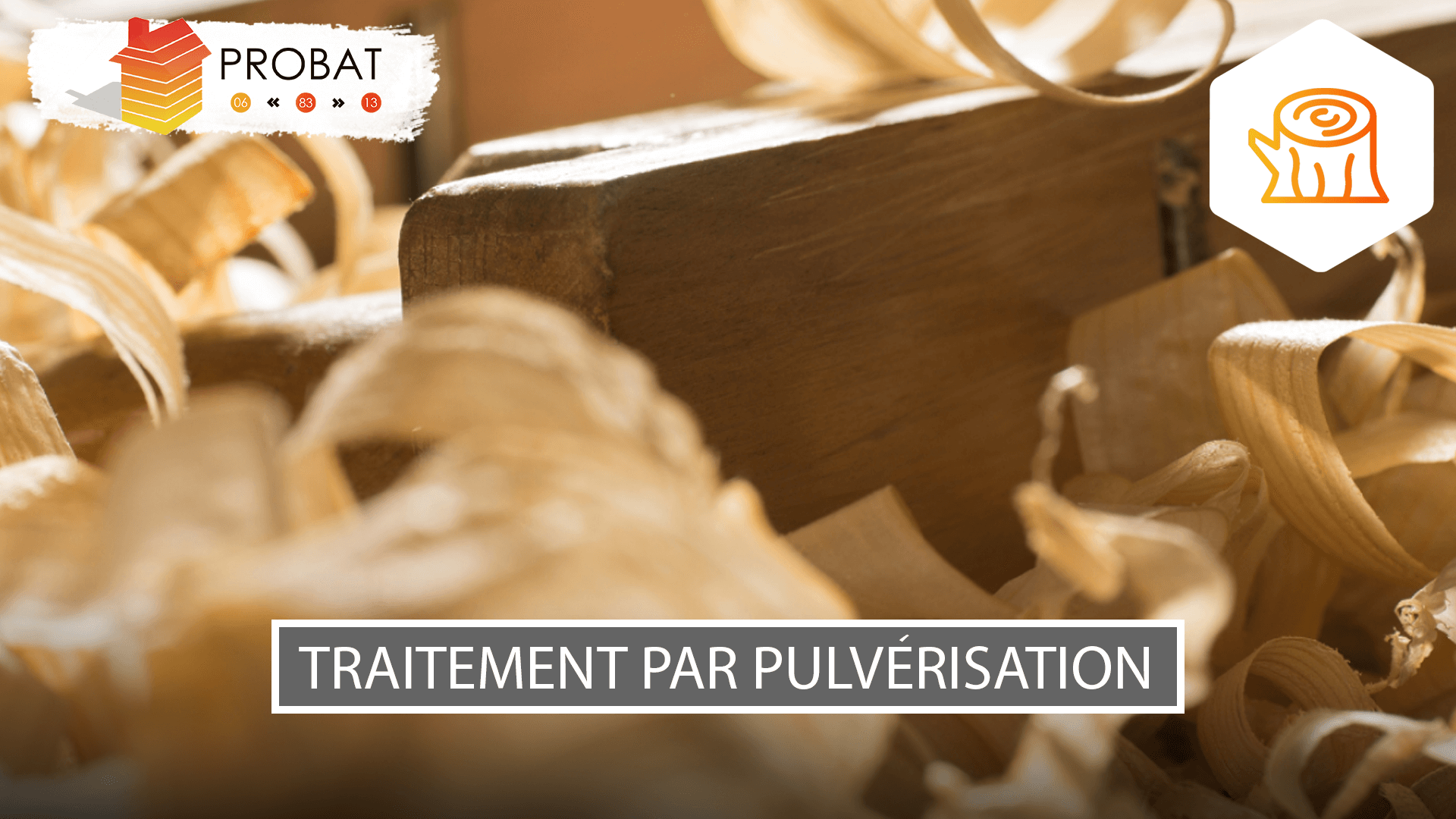 Visuel-article-Jalis-V78 Traitement de charpente par pulvérisation Grasse