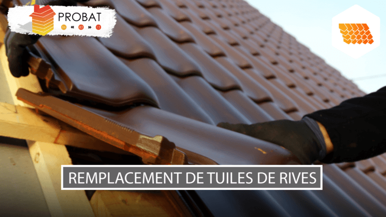 Remplacement de tuiles de rives Aubagne