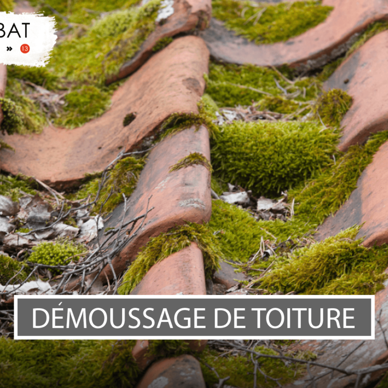 Visuel-article-Jalis-V86