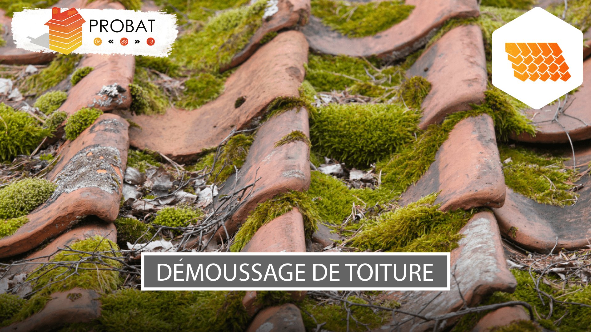 Visuel-article-Jalis-V86