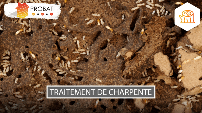 Traitement de charpente par injection sous pression à Toulon