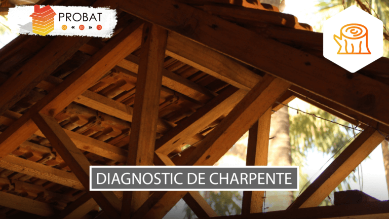 Diagnostic de charpente Aix-en-Provence
