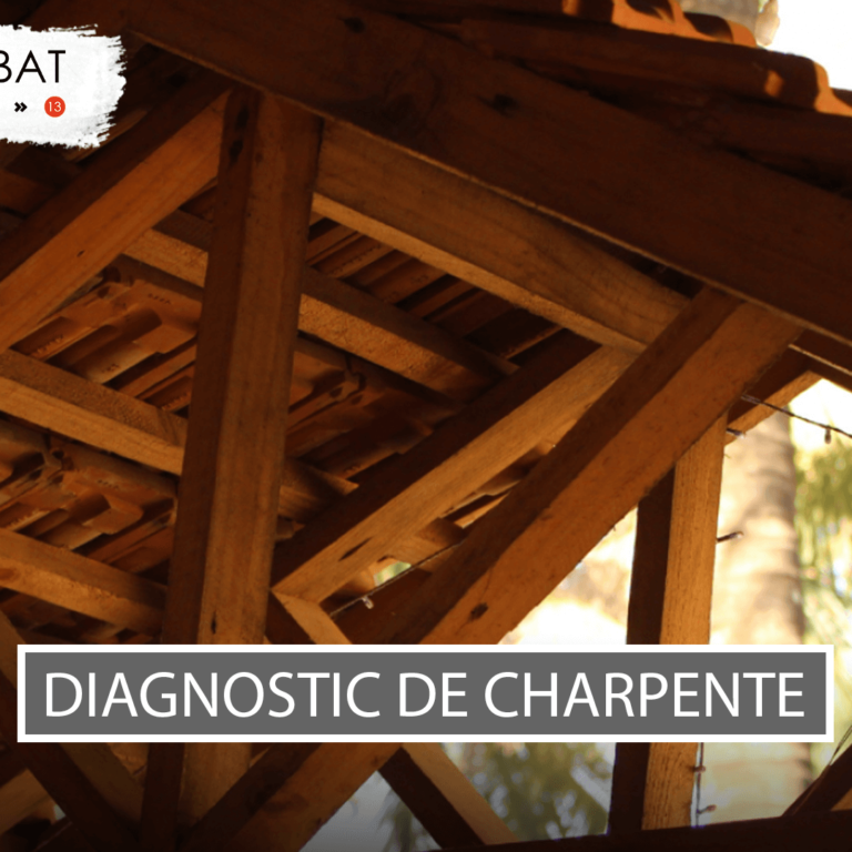 Visuel-article-Jalis-V95 Diagnostic de charpente Aix-en-Provence