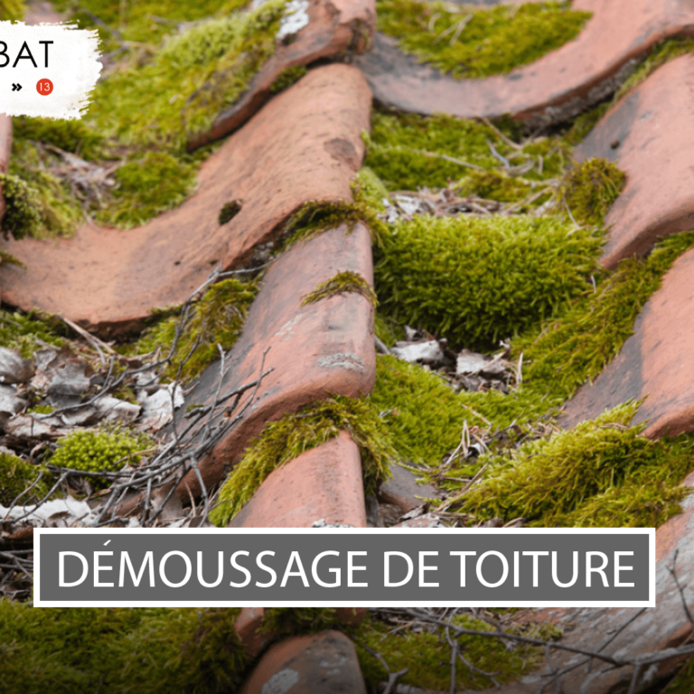 Visuel-article-Jalis-V106