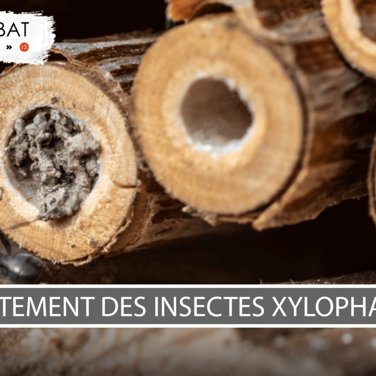 Visuel-article-Jalis-V108 Traitement des insectes xylophages charpente La Ciotat
