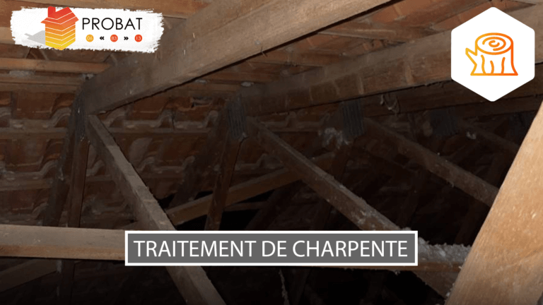 Traitement de charpente préventif Cannes