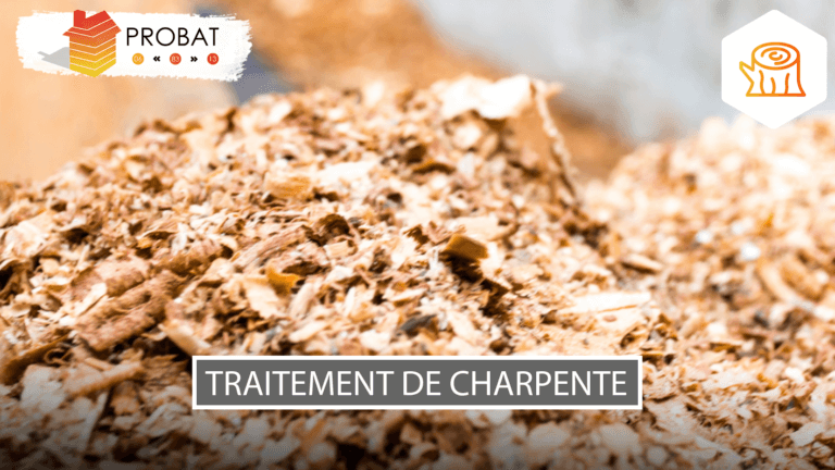 Traitement curatif par pulvérisation de charpente Hyères