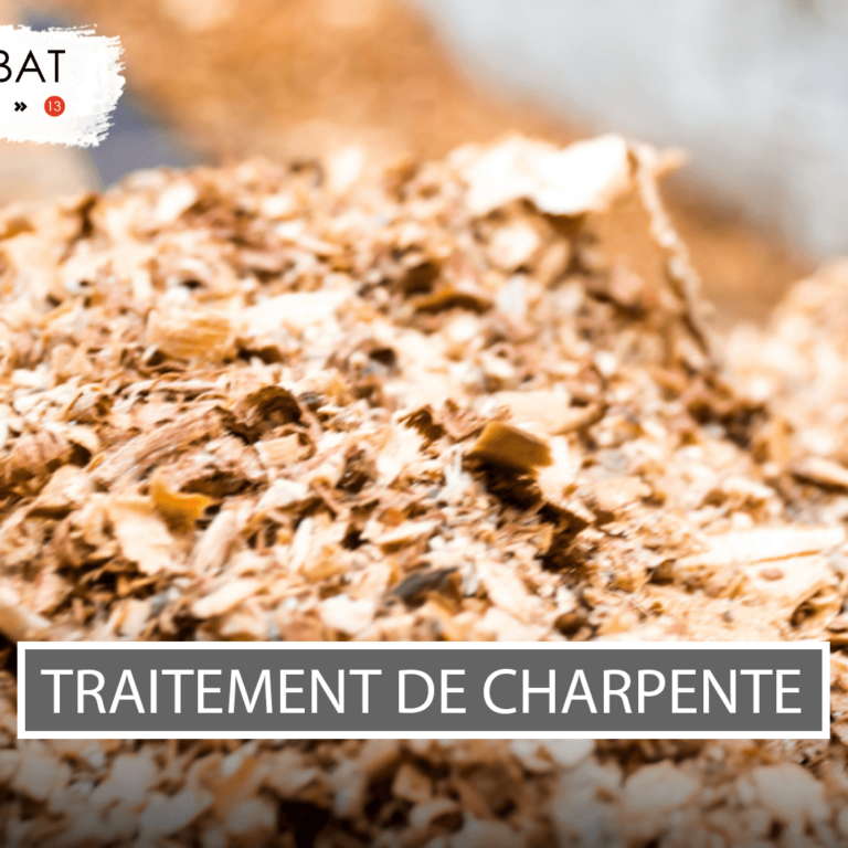 Traitement curatif par pulvérisation de charpente Hyères